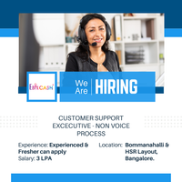Customer Support Executive- Non Voice Process at EbixCash Limited, Karnataka - Other